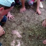 phoca_thumb_m_vychzky 10 Fotogalerie